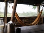 Hammock Hammock